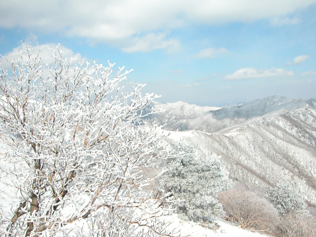 사용자 삽입 이미지