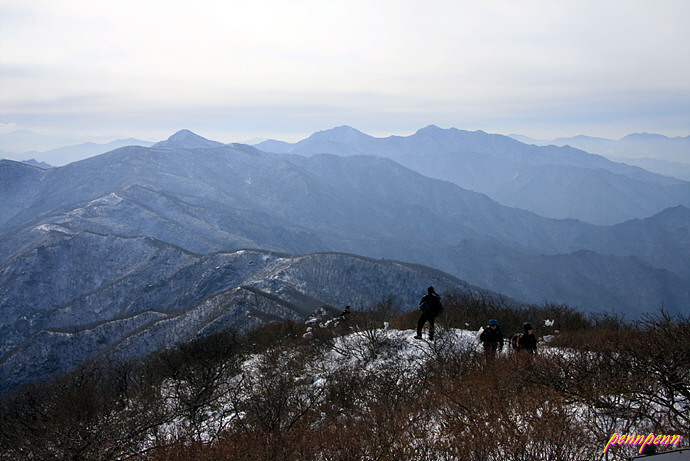 사용자 삽입 이미지