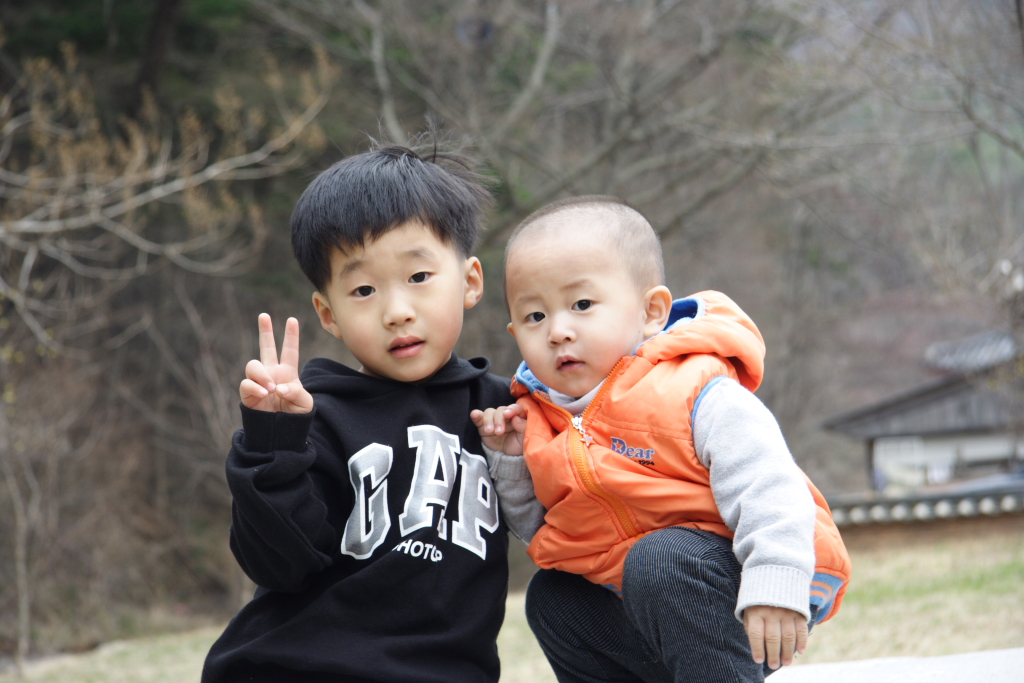 사용자 삽입 이미지