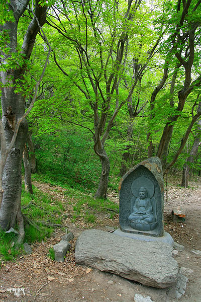 사용자 삽입 이미지