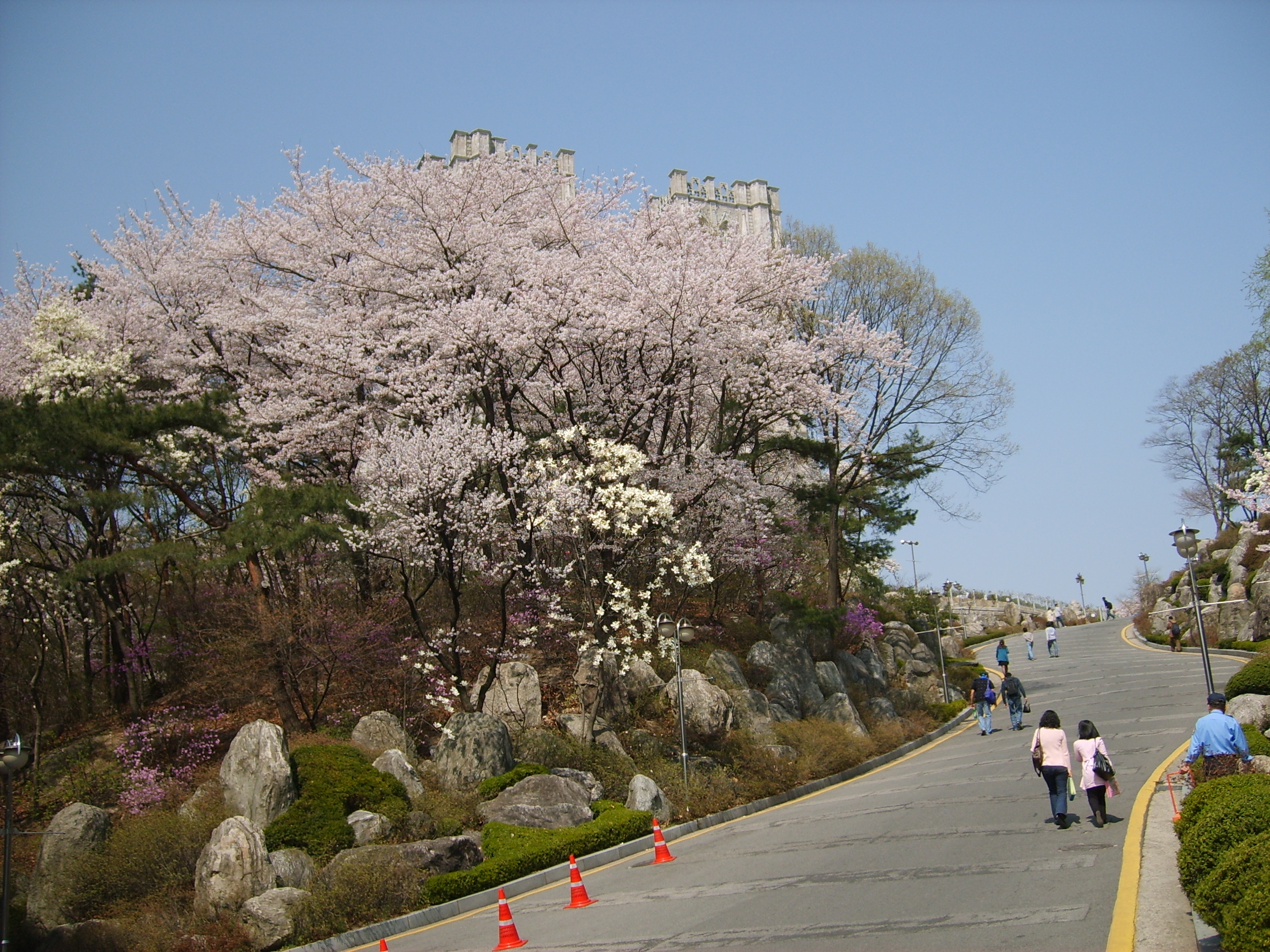 사용자 삽입 이미지