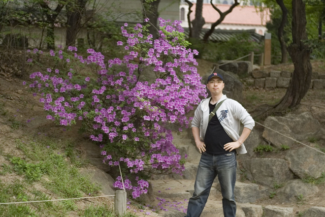 사용자 삽입 이미지