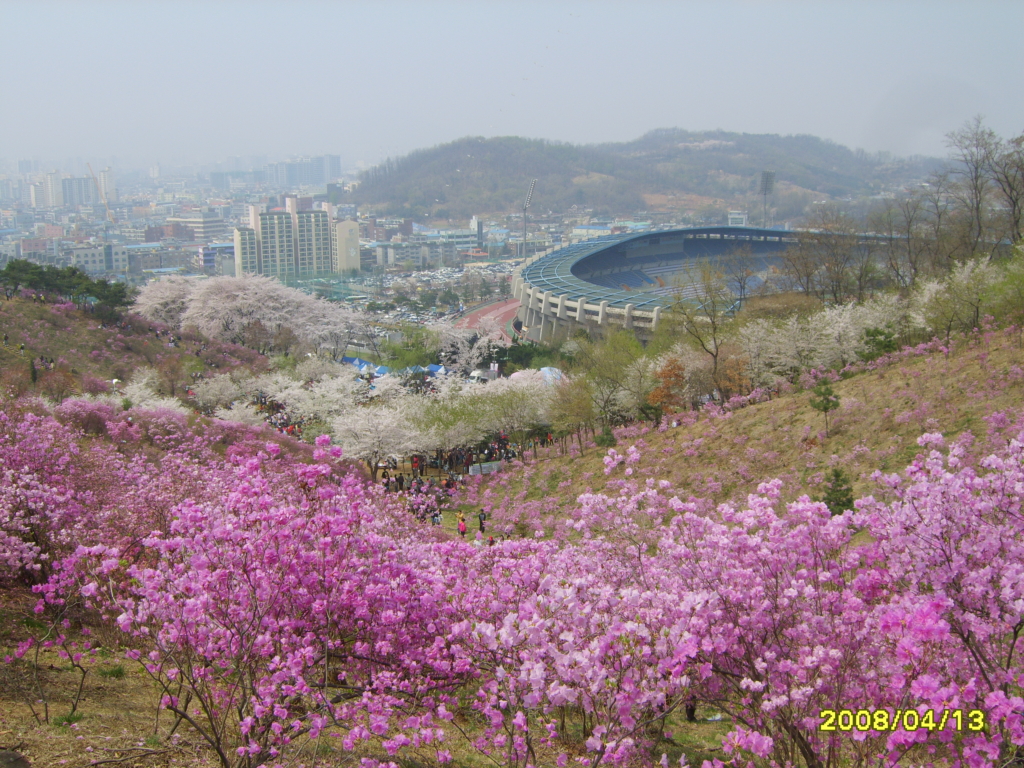 부천 진달래 축제