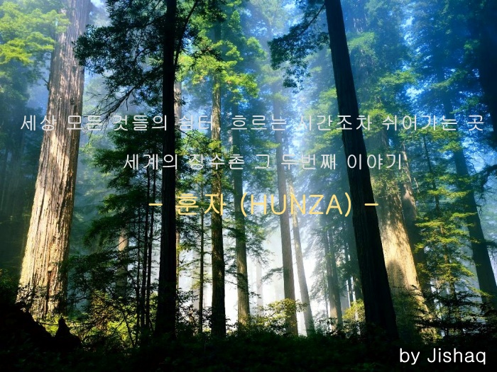 사용자