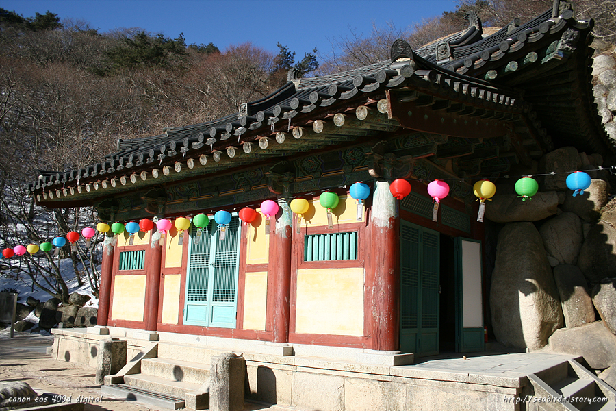 사용자 삽입 이미지