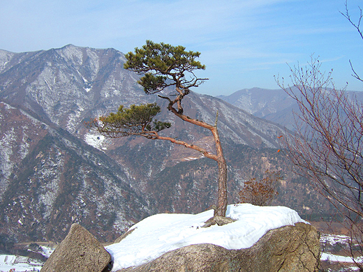 사용자 삽입 이미지