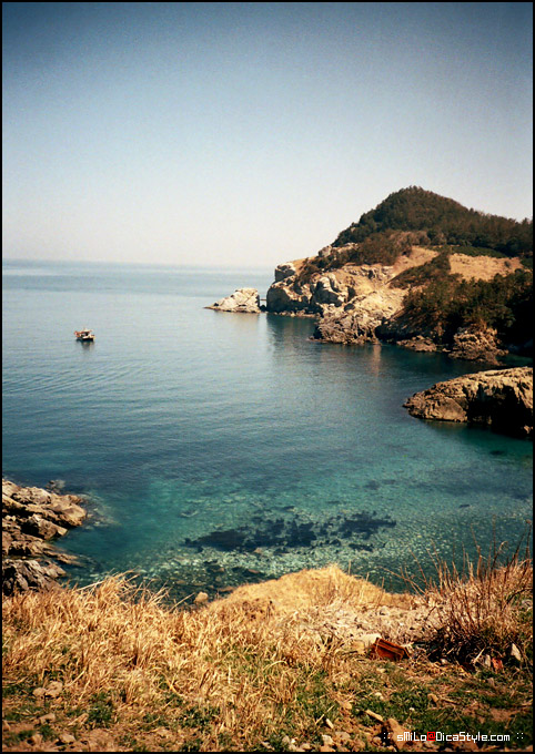 사용자 삽입 이미지