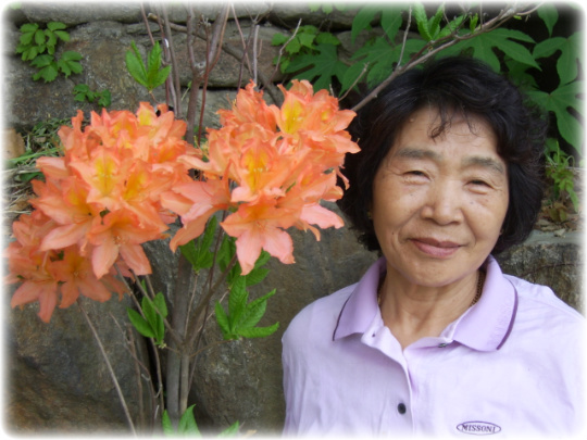 사용자 삽입 이미지