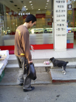 사용자 삽입 이미지