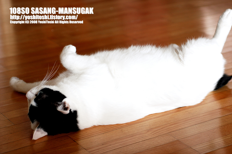 AhRong 3