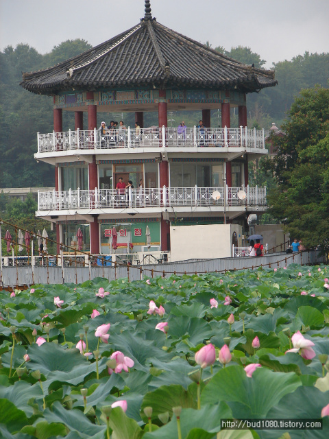 전주 덕진공원