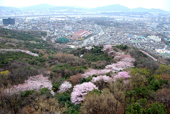 사용자 삽입 이미지