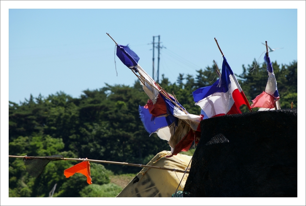 신진도,여행사진,photography