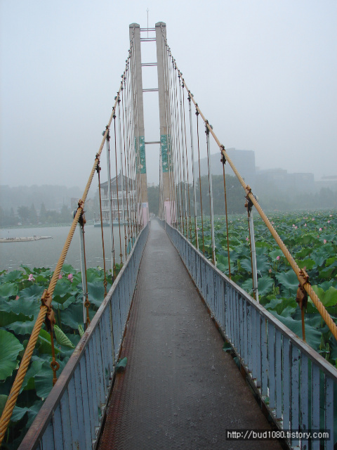덕진공원