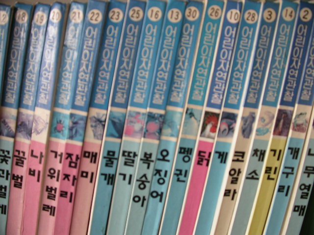 사용자 삽입 이미지