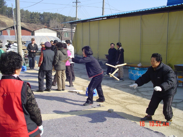 사용자 삽입 이미지