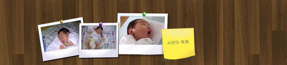 사용자 삽입 이미지