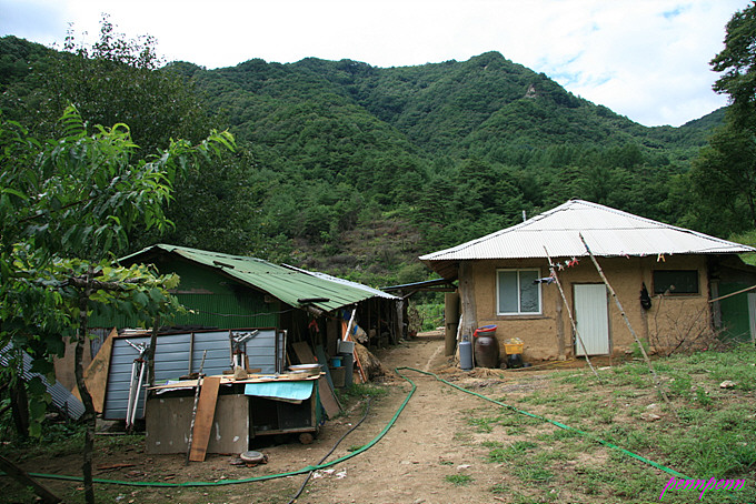 사용자 삽입 이미지