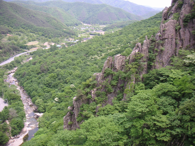 사용자 삽입 이미지