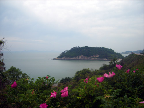 사용자 삽입 이미지