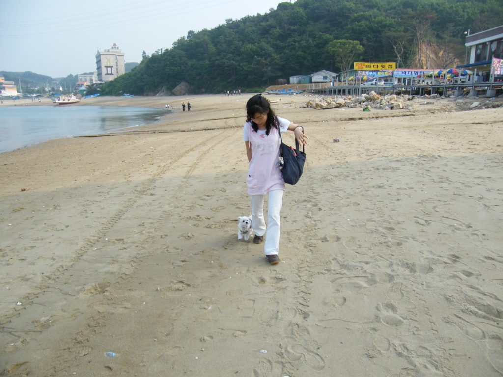 사용자 삽입 이미지