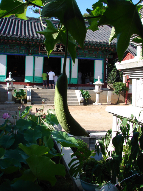 석불사