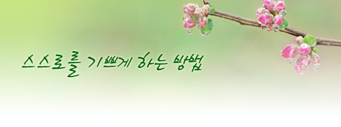 사용자 삽입 이미지