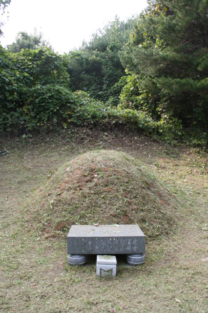 사용자 삽입 이미지