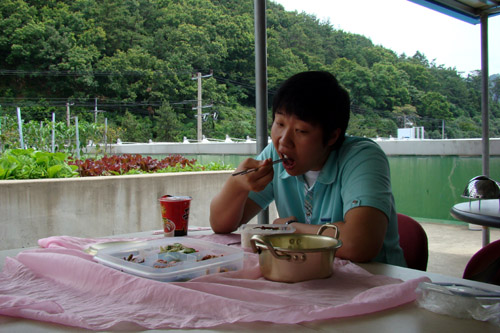사용자 삽입 이미지