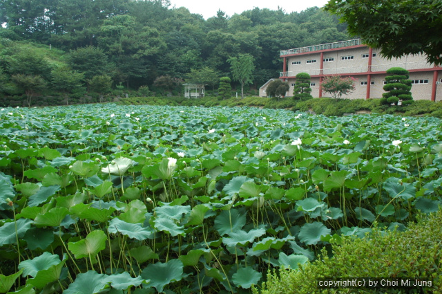 사용자 삽입 이미지