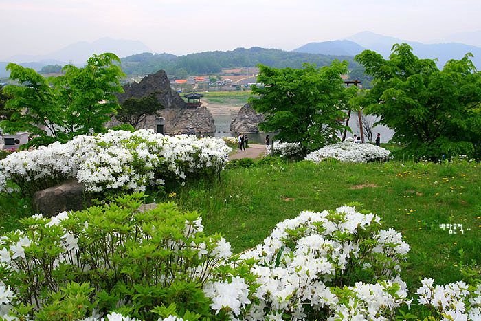 사용자 삽입 이미지