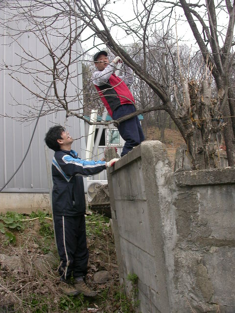 User-created