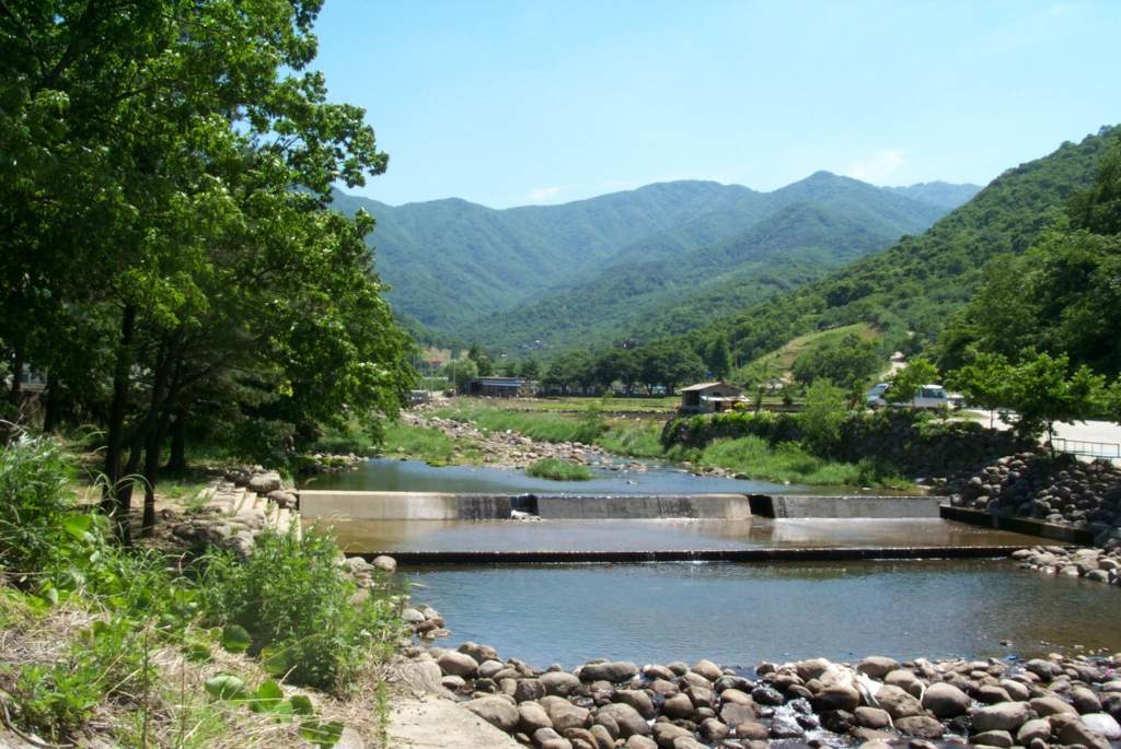 사용자 삽입 이미지