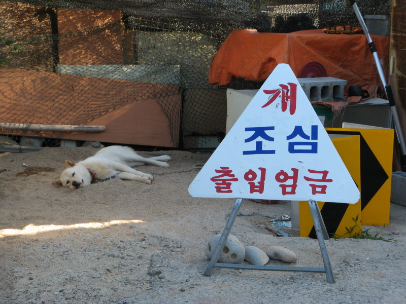 08년 여름 도보여행