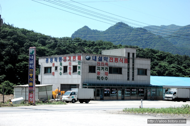 사용자 삽입 이미지