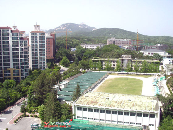 사용자 삽입 이미지