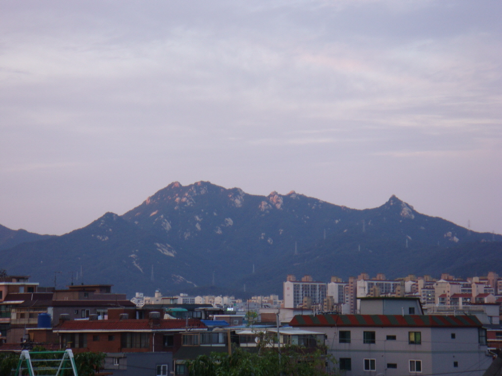 사용자 삽입 이미지