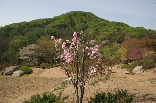 사용자 삽입 이미지