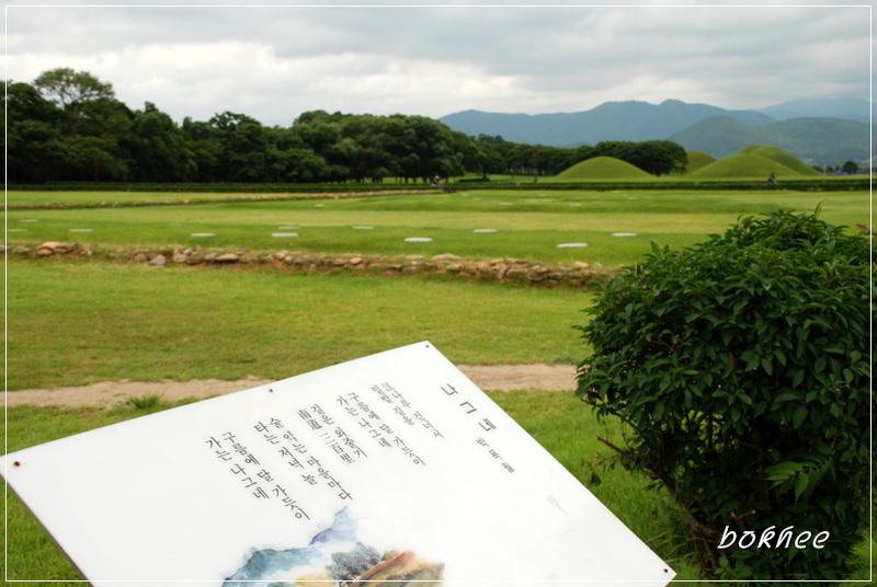 첨성대주변