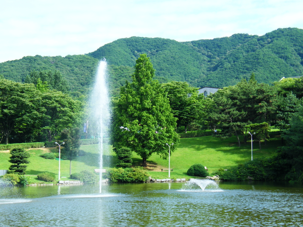 사용자 삽입 이미지