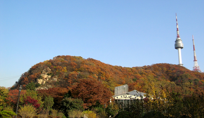 사용자 삽입 이미지