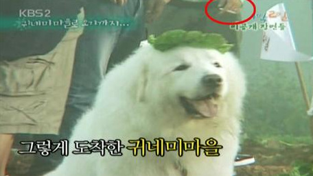 사용자 삽입 이미지
