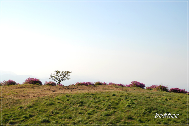 황매산