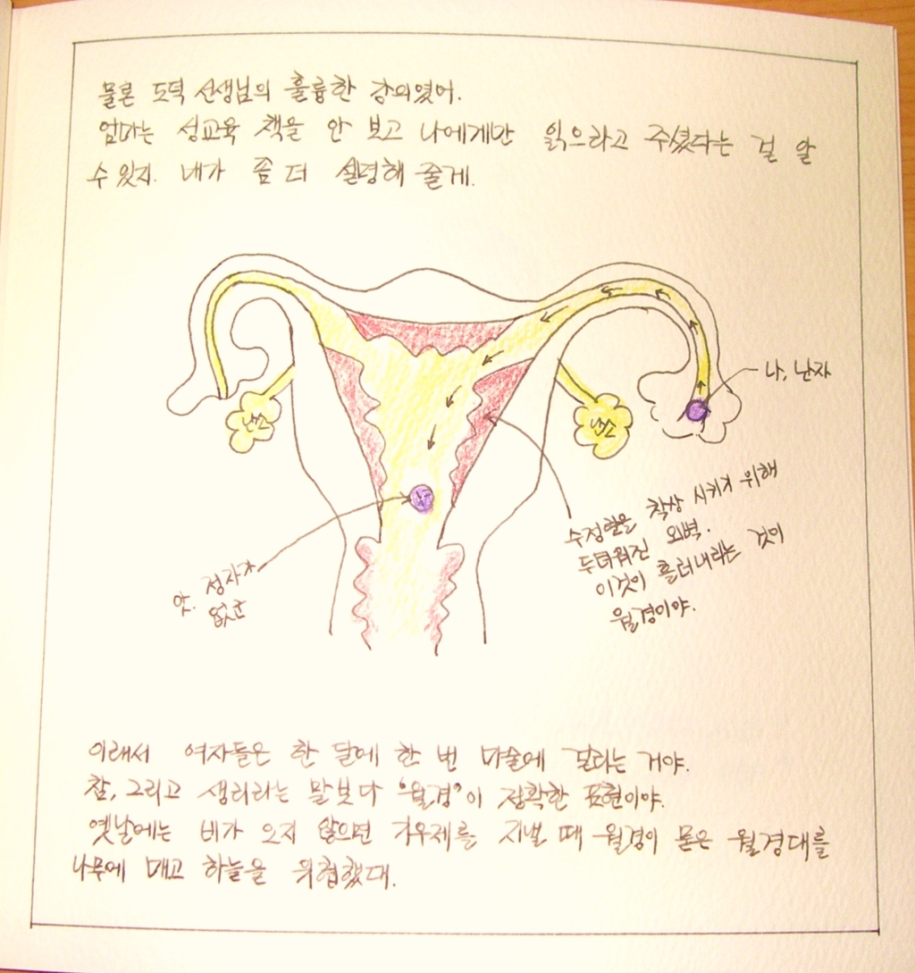 사용자 삽입 이미지
