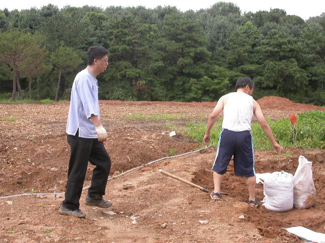 사용자 삽입 이미지