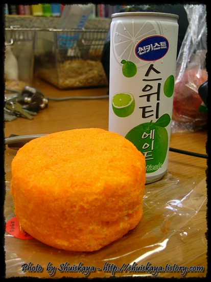 사용자 삽입 이미지