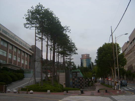 사용자 삽입 이미지