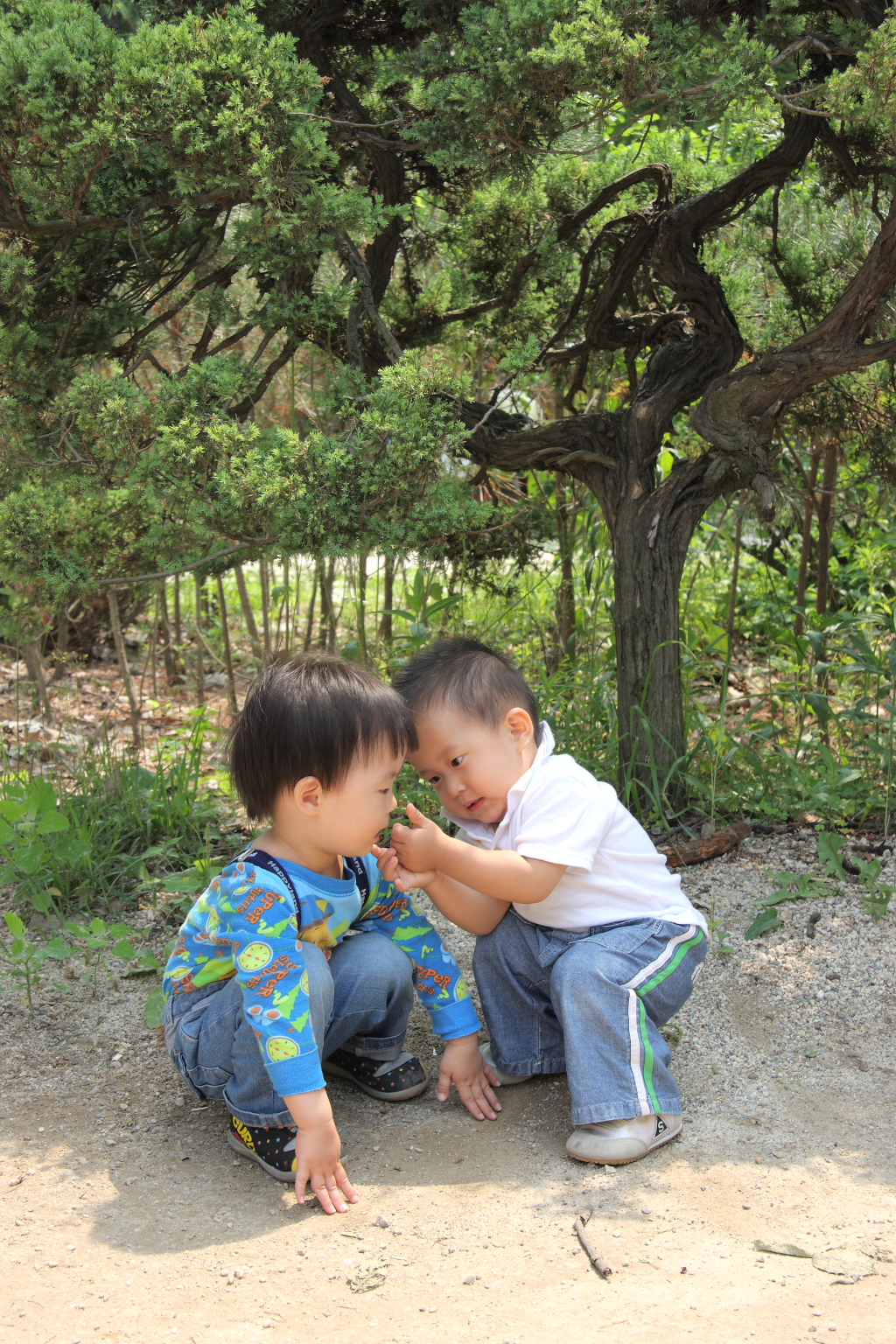 사용자 삽입 이미지