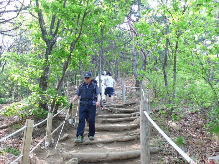 사용자 삽입 이미지