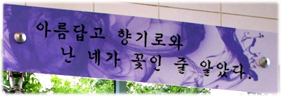 사용자 삽입 이미지